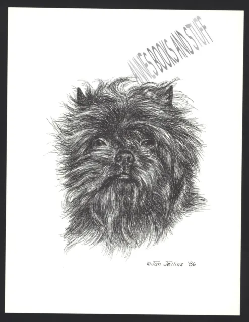 #367 AFFENPINSCHER  portrait dog art print * Pen and ink drawing * Jan Jellins