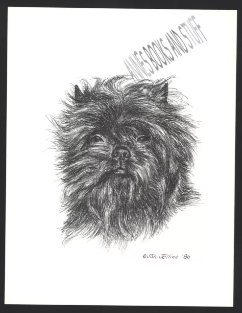 #367 AFFENPINSCHER portrait dog art print * Pen and ink drawing * Jan Jellins #367 AFFENPINSCHER portrait dog art print * Pen and ink drawing * Jan Jellins