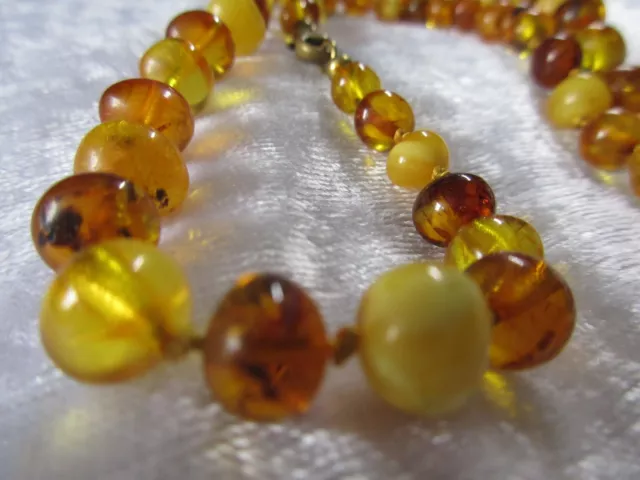 Baltische Natur Bernstein Butterscotch Kette Amber Necklace Honigbernstein 18 g