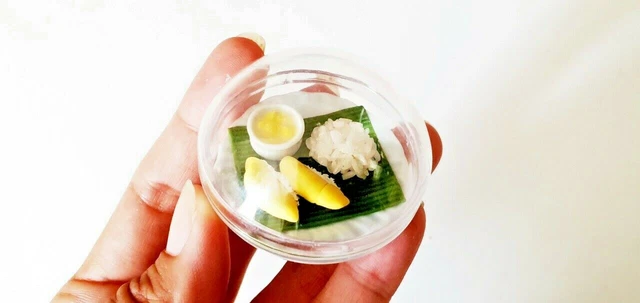 Thai Miniature Dollhouse desserts Handmade Mini small plate dish Food Deco Ooak