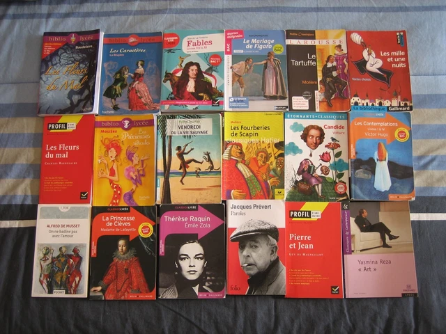 LOT 18 LIVRES romans collection livre de poche classique moliere
