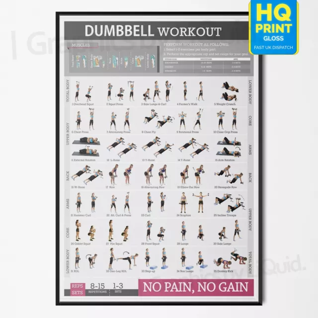 Dumbbell Workout Chart Exercise Poster Perfect To Build Muscle | A4 A3 A2 A1