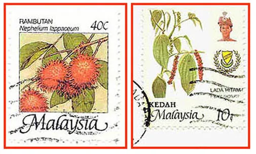 Malaysia (005) - zwei gestempelte Briefmarken verschiedene Werte