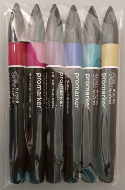 Winsor Newton Rich Tones Dual Nib Promarkers Set of 6 (Bullet and Chisel Nib)