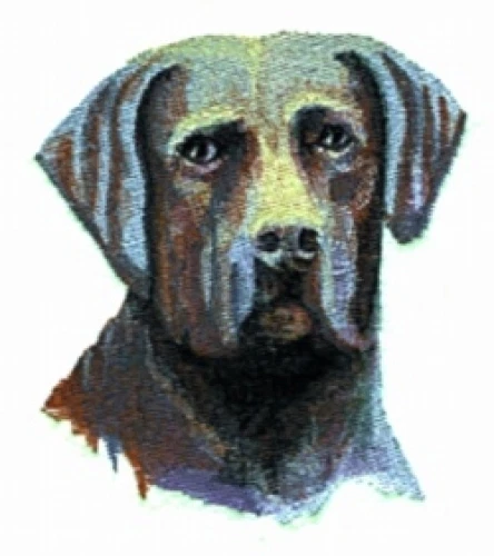 Embroidered Ladies Jacket - Chesapeake Bay Retriever BT2289 Sizes S - XXL