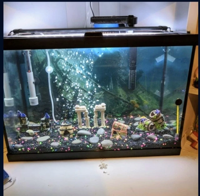 Fish Tank