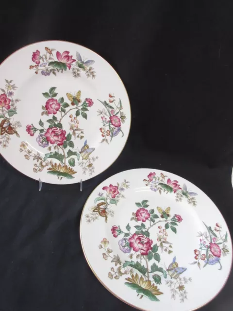 2 CHARNWOOD Wedgwood England 10.75" Bone China Dinner Plates, Barely Used!