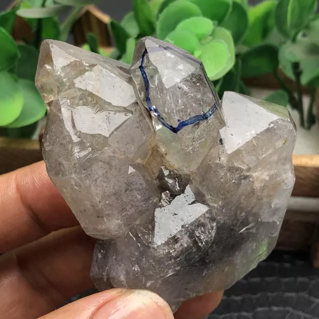 large TOP Rare Herkimer diamond castle crystal gem tip+Moving Water Droplet 158g