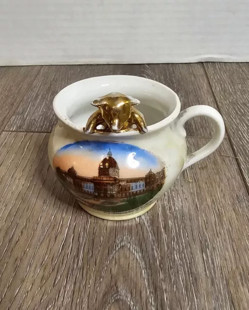 Circa 1915 Souvenir Of Harrisburg,  PA Porcelain Chamber Pot Gold Pig