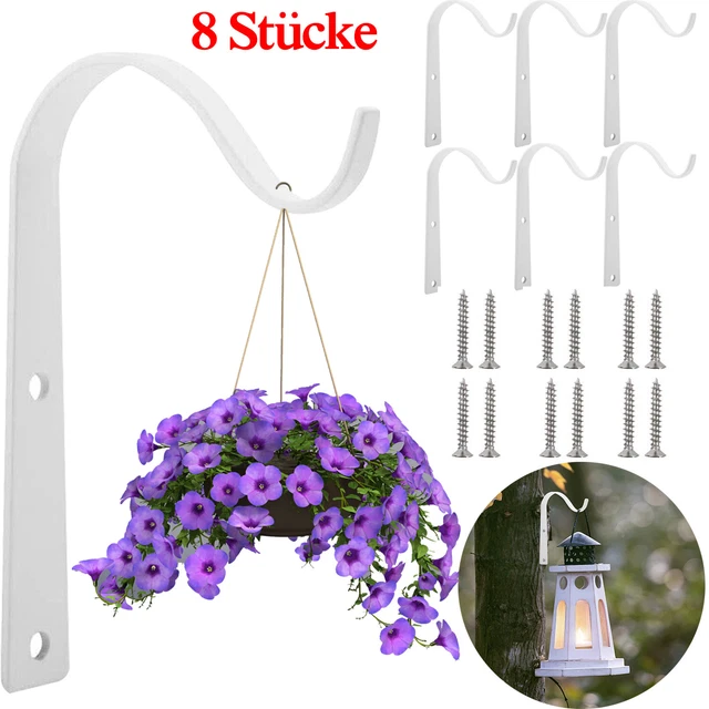 6 Stück Pflanzenhalterung Eisen Wandhaken Wandhalter Haken Blumenampel Halterung