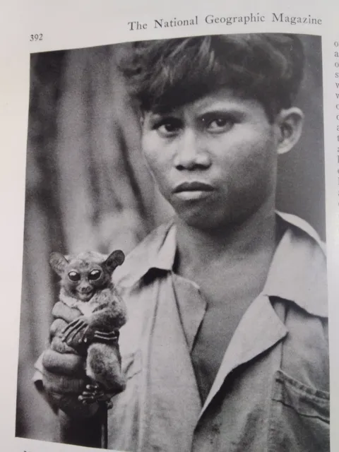 Mindanao Phillipines Strange Creatures Article Original Vtg 1948 Nat Geographic