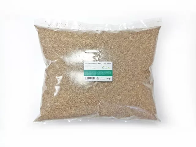 RAPID QUICK GROWING LAWN GRASS SEED FOR NEW LAWNS OR PATCH & REPAIR 4kg