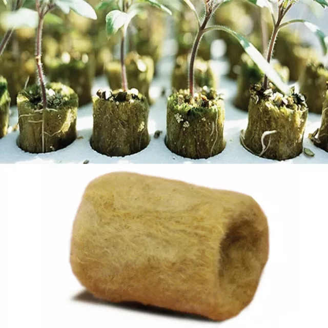 100Pcs Rock Wool Cubes Soilless Culture Strong Plant Propagation Growing