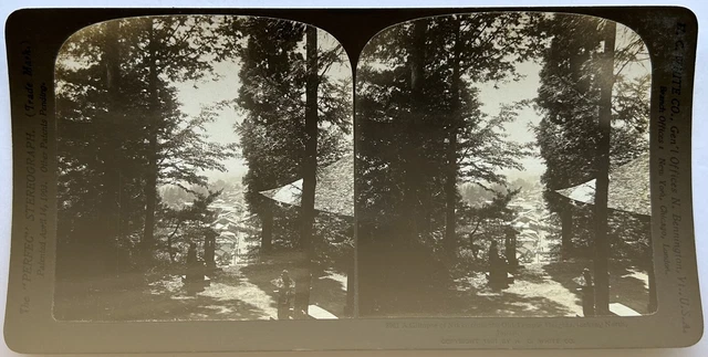 Japan Landschaft 1901 Foto Stereo Vintage P81L9n8