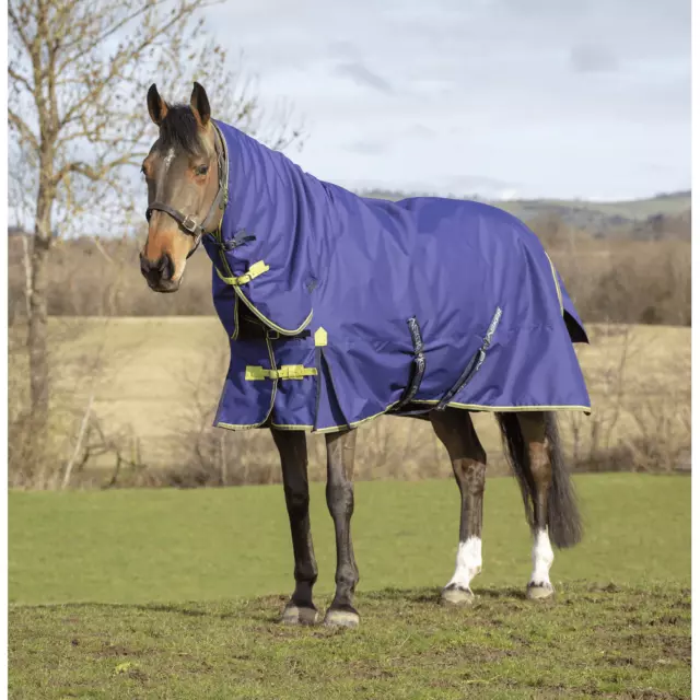 Asker Medium Weight 200g Horse Combo Neck Turnout Rug | Waterproof - Navy Blue