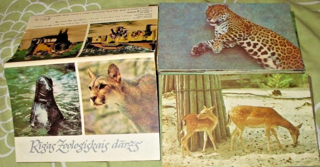 20 X Cards Folder With Riga Latvia Zoo Animals From 1980