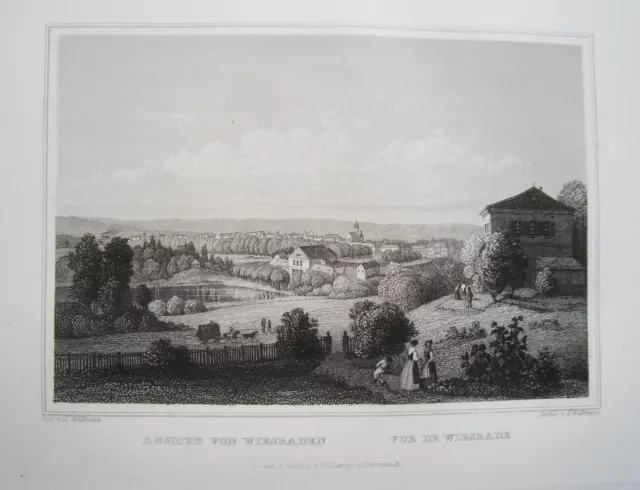 Wiesbaden Assia Panorama Bellissimo Vero Vecchio Incisione Acciaio 1842