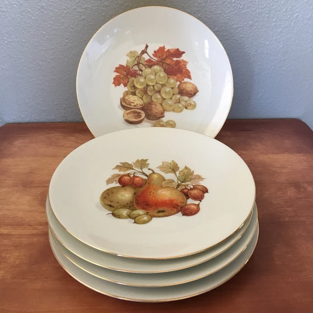 5 BAREUTHER WALDSASSEN Bavaria Germany 104 111 Fruit Salad Dessert Plates 7.25”