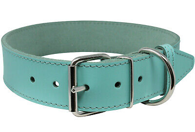 Dog Collar 21"-24.5" Neck 1.75" Wide High Quality Genuine Leather Cyan