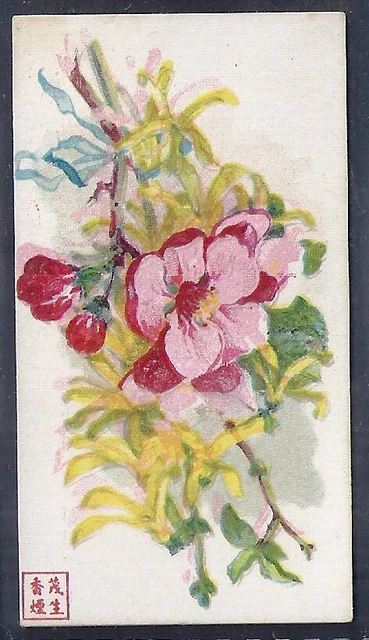 American Cigarette Co. (China)-Flowers-#23- Scarce Card!!!