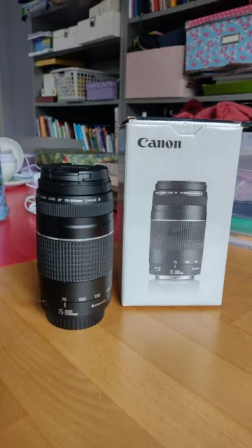 Canon EF 75-300 mm F/4.0-5.6 III Objektiv