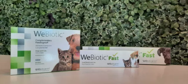 WEBIOTIC¹FAST chien chat complement probiotique soutien aide trouble digestion