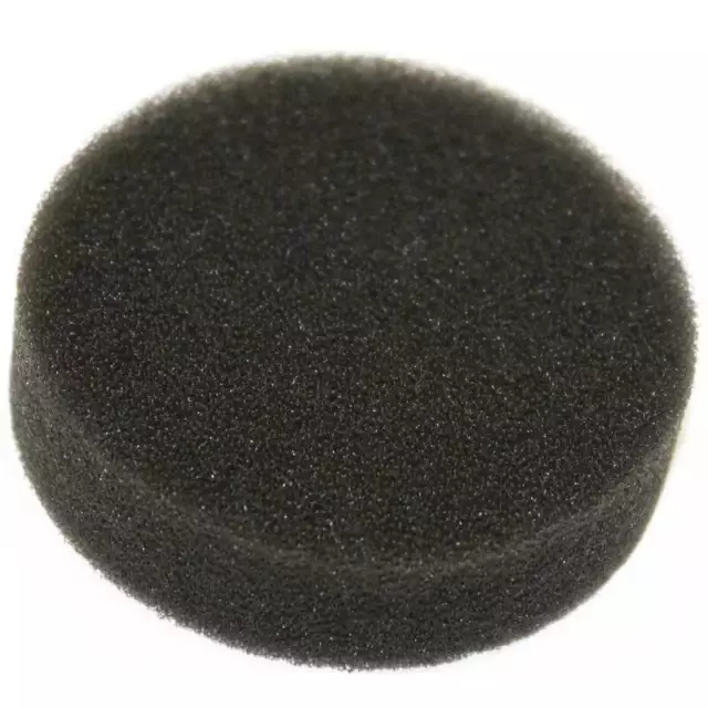 Kirby Shampooer Foam Filter Sponge 307389 G3 G4 G5 G6 UG DE Sentria