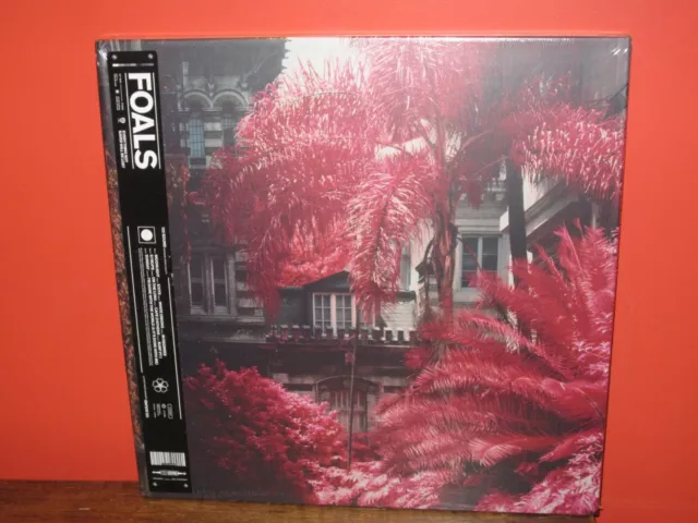 Foals – Everything Not Saved Will Be Lost Collector's Edition Vinyl LP/7" MINT