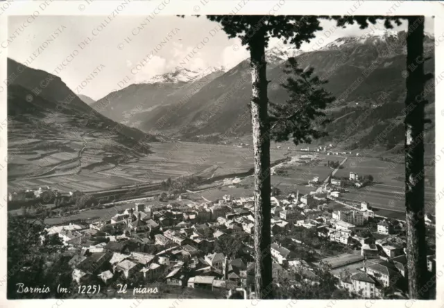 1960 BORMIO Il piano Panorama Sondrio Cartolina