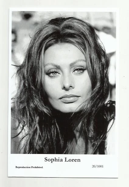 (Bx14) Sophia Loren Swiftsure Photo Postcard (20/1001) Filmstar Pin Up Glamor