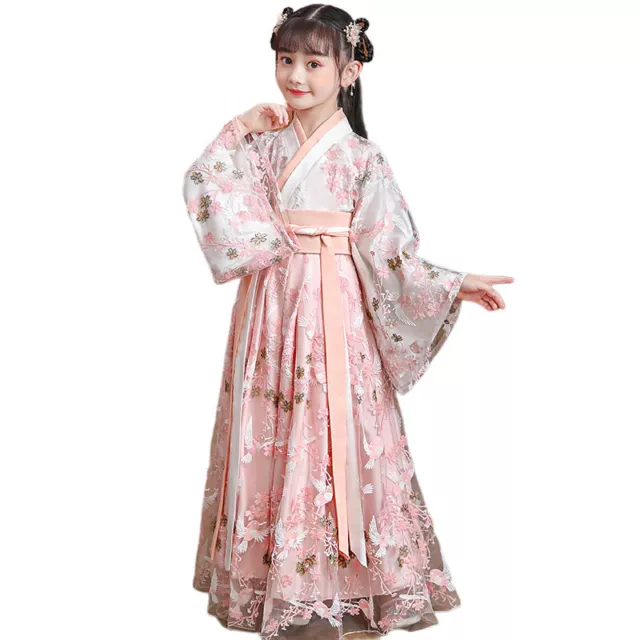 Ragazza Abito Ricamato Floreale Ttang Abito Hanfu Cinese Fairy Antico Costume