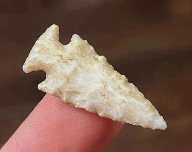 Exceptional Scallorn Point Missouri Arrowhead Authentic Indian Artifact Q23