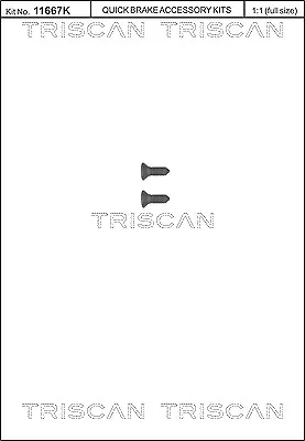TRISCAN 8105 116008 Bolt, brake disc for AUDI,BENTLEY,CHEVROLET,CUPRA,HYUNDAI,KI