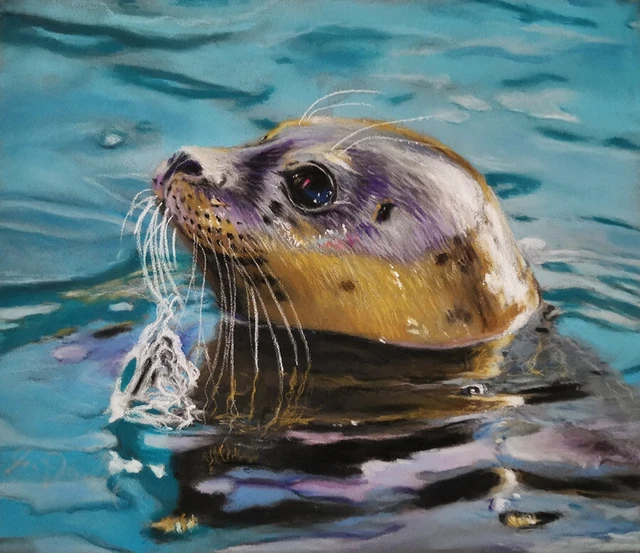 ORIGINAL PASTELL ZEICHNUNG Seerobbe seal pastel Art by von Angela