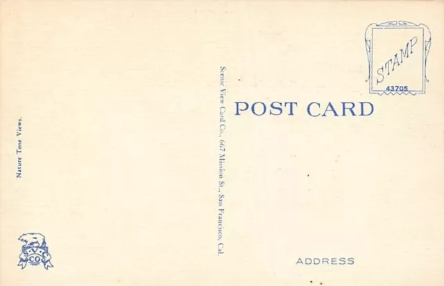 Postcard CA: Aerial View of SF & Bridges, Airplane, Linen, Unposted 2