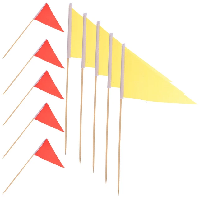 100 Bandierine Stuzzicadenti Vuote - Per Formaggio, Antipasti, Torte, Feste