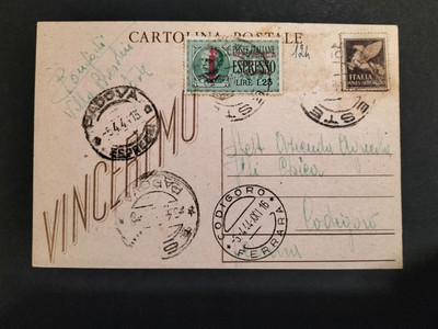 CARTOLINA V.CASTELLI SOUVENIR DE LA MARNE BANDIERA 1919 WW1 VIAGGIATA KK/007 