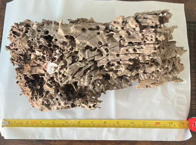 Driftwood Aquarium Fish Tank Landscape Natural Wood Reptile Real Trunk Decor
