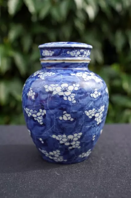 Qing Dynasty Chinese 19th Century Prunus Jar with Lid 15cm