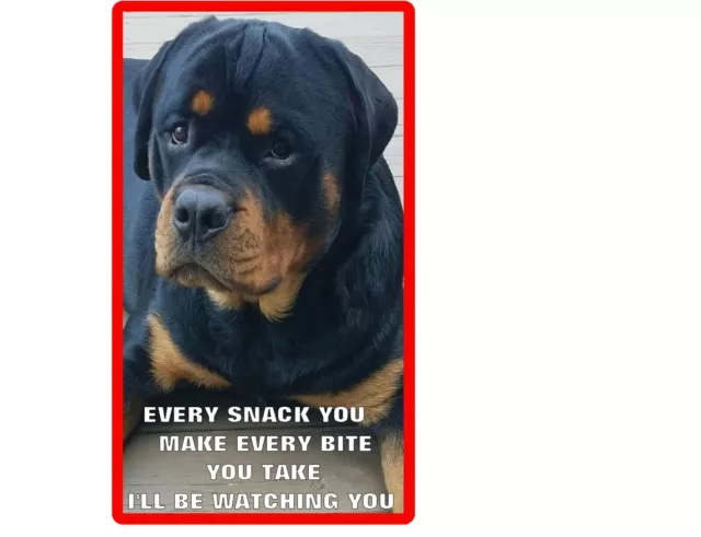 Funny Rottweiler Dog Watching You  Refrigerator / Tool  Box  Magnet