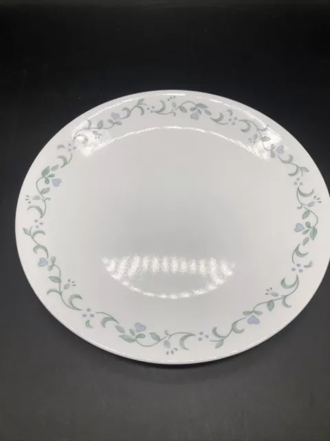 Corelle Corning Country Cottage 10 1/4" Dinner Plate 3
