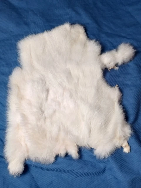 White Rabbit Skin Fur Pelt Real Fur Pelts for Animal Training Garment