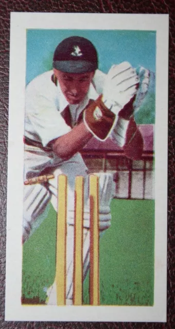 South Africa & Transvaal Cricketer  Waite  Vintage  Photo Card  SC10