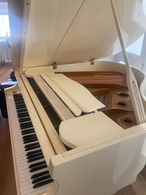 Alex Steinbeck Baby Grand piano , as new