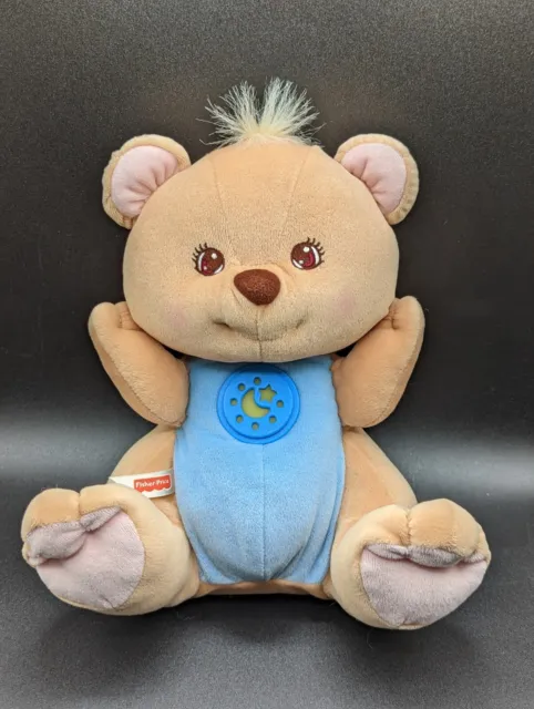 Vintage 1998 Fisher Price Peaceful Planet Bear Stuffed Plush 10" *Doesn't Work*