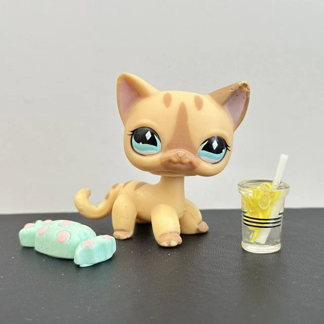 Figurine Littlest Pet Shop HASBRO #886 - Chat European Shorthair Avec Couronne