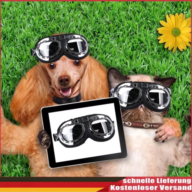 Punta Gafas plegables para perro para cachorros, protección UV, gafas de sol, luz solar, decoración