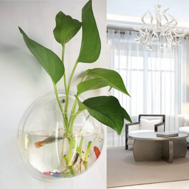 Hanging Wall Mounted Fish Bowl Aquaponic Tank Aquariums Plant Fish Bubble Gift 3