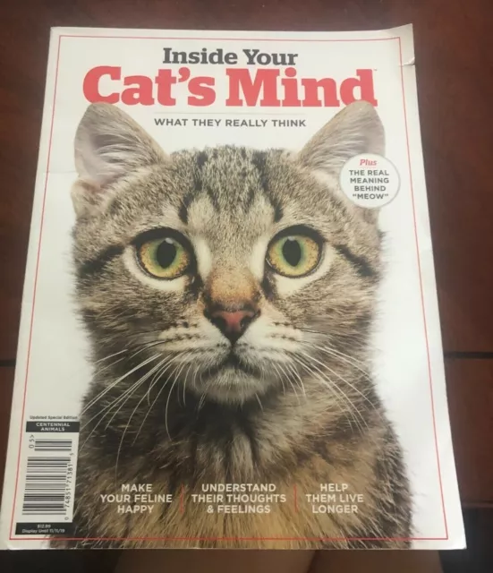 CAT'S MIND inside your Magazine What They Really Think-Updated Special Edition