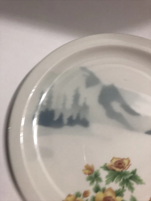 SYRACUSE Great Northern Railroad Mountains & Flowers Pattern Round Plate 3